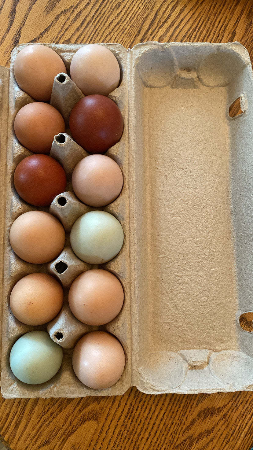 Dozen Chicken Eggs