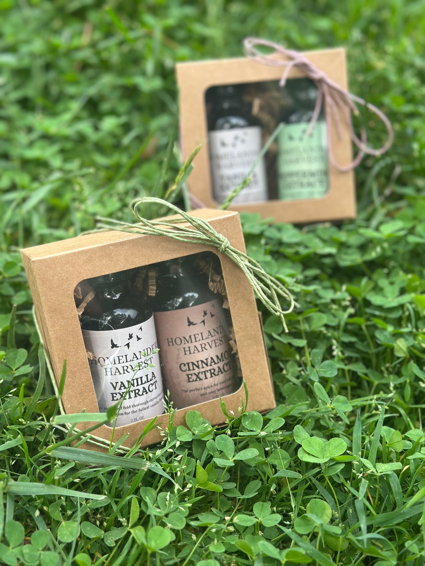 Customizable Extract Gift Packs