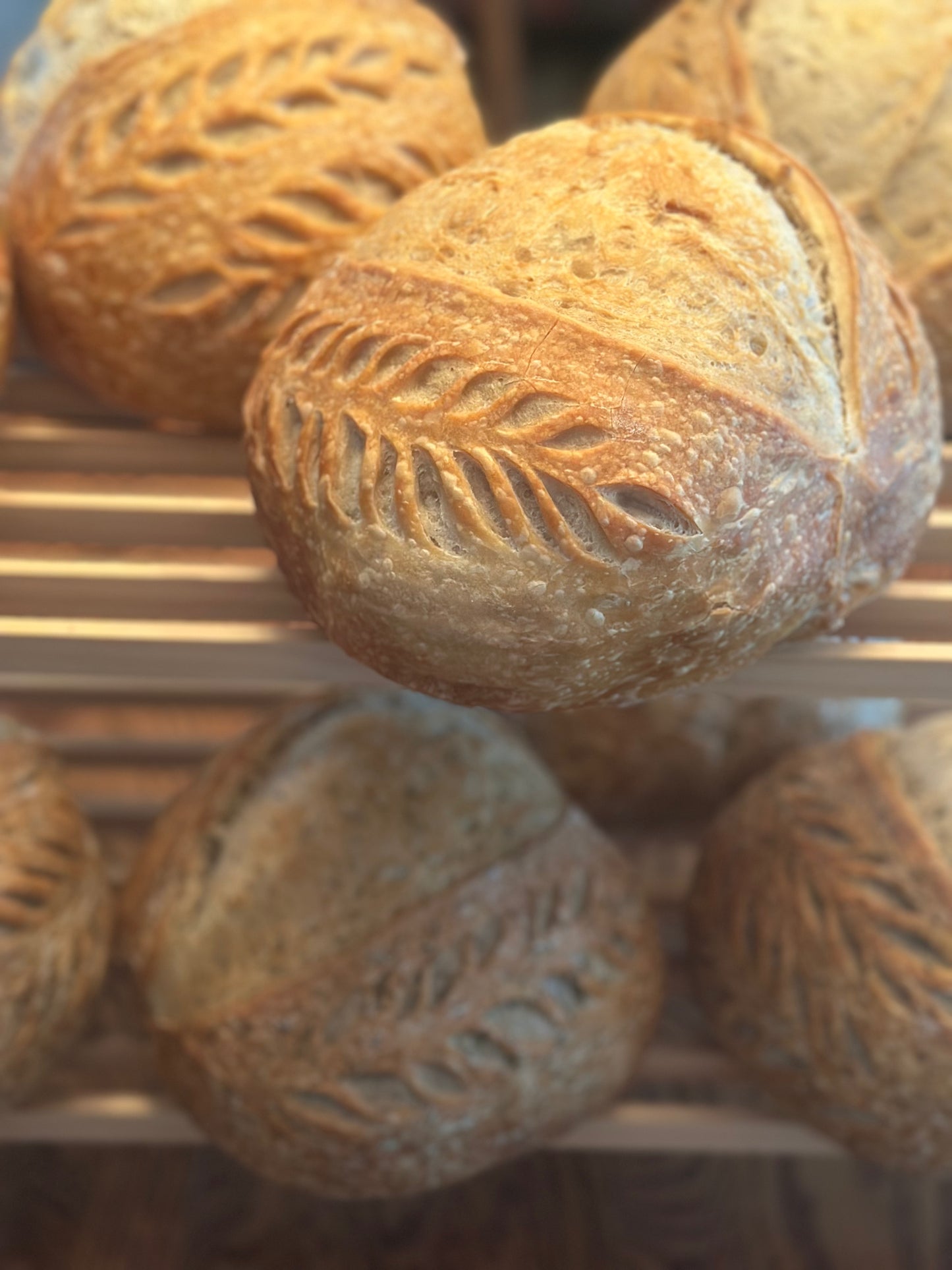 Artisan Sourdough Loaf