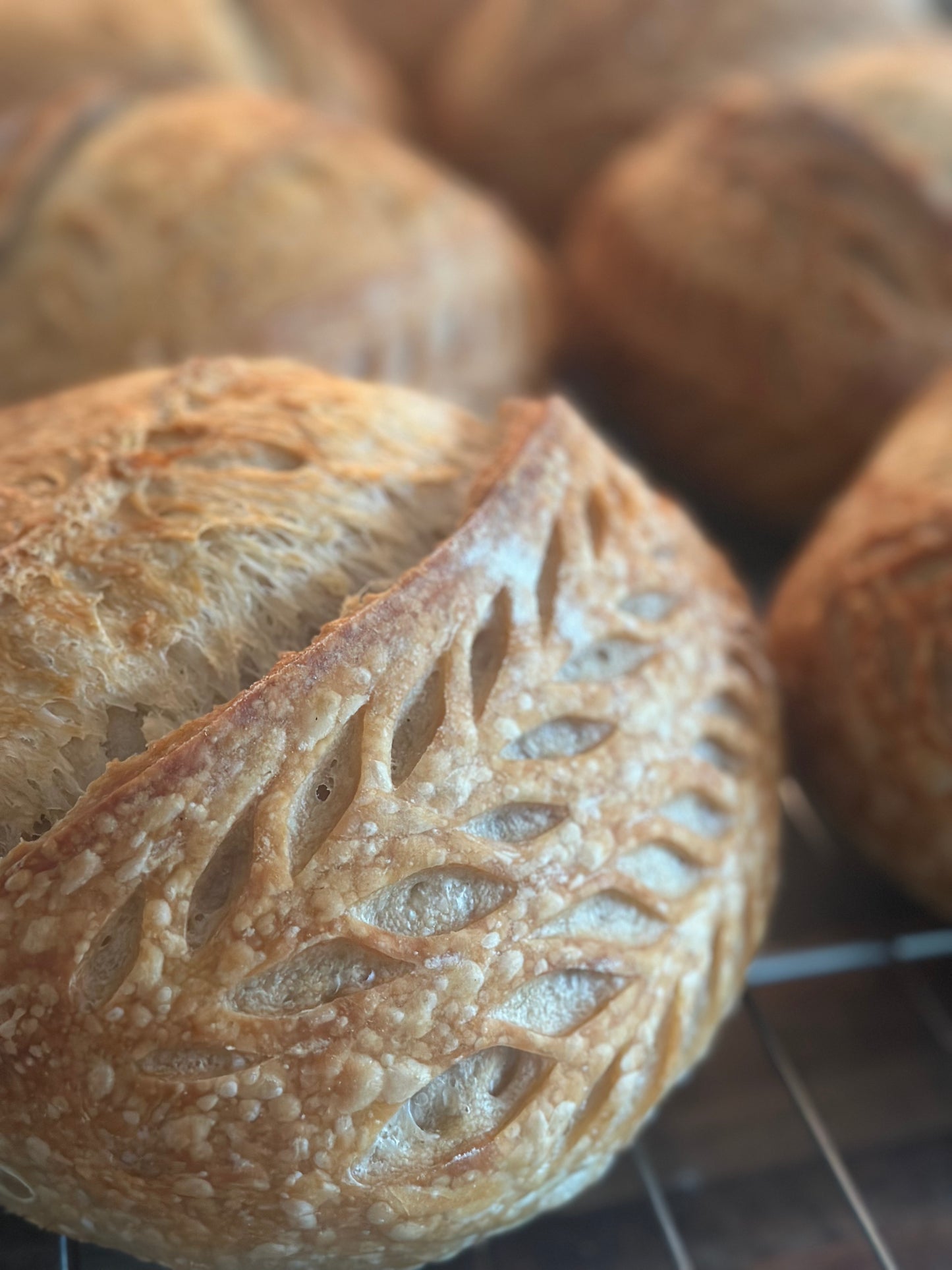 Artisan Sourdough Loaf