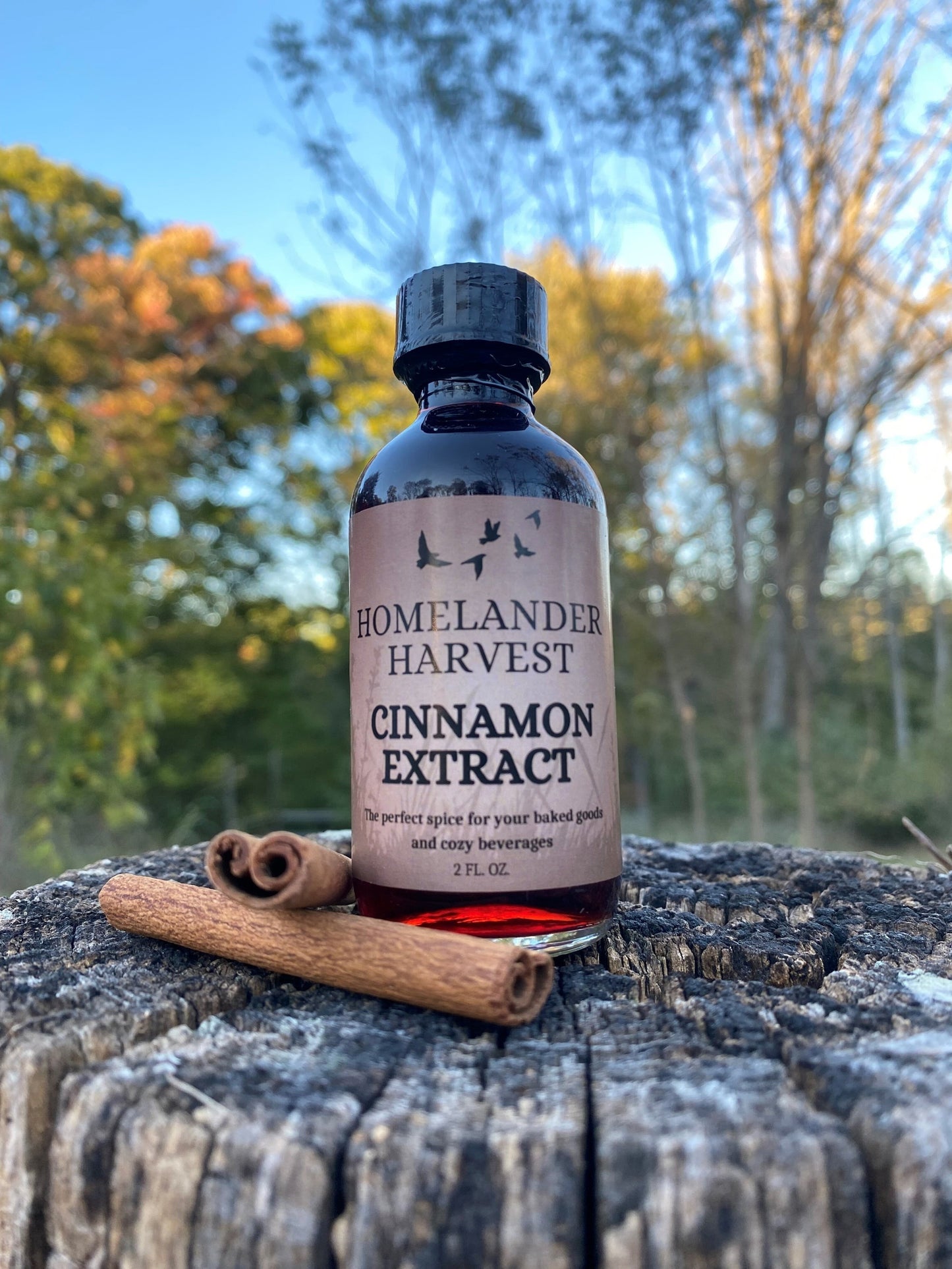Cinnamon Extract