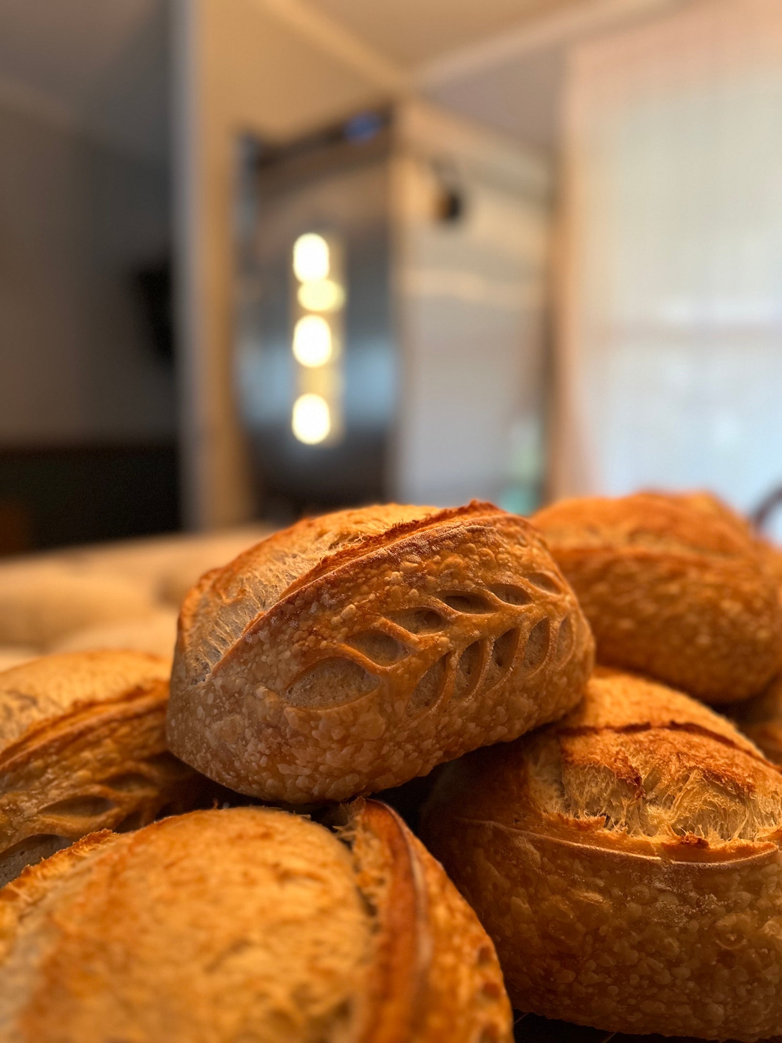 Homelander Harvest photo 8